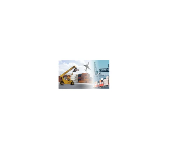 Logo de TRANSPORTE INTERNACIONAL T.G